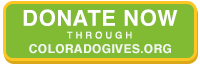 Donate now to the IDEA Lab's COVID-19 efforts through coloradogives.org. 