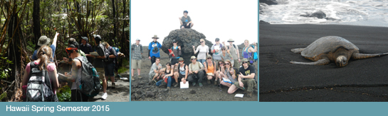 Study Abroad in Hawaii 2015