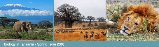 Biology in Tanzania - Spring term 2018