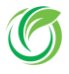 Nonprofit Pathway logo