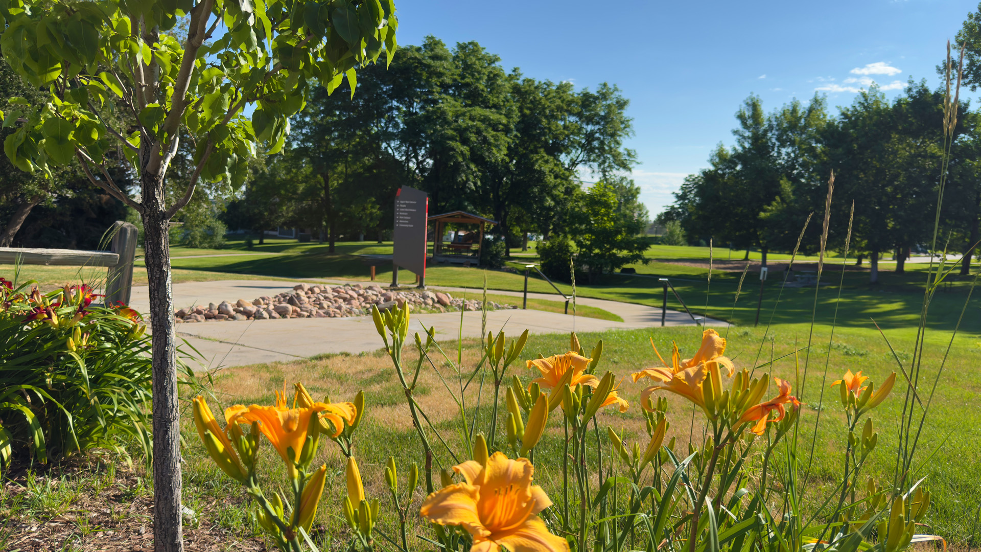 Yellow flowers outside upper west entrance, Lakewood campus