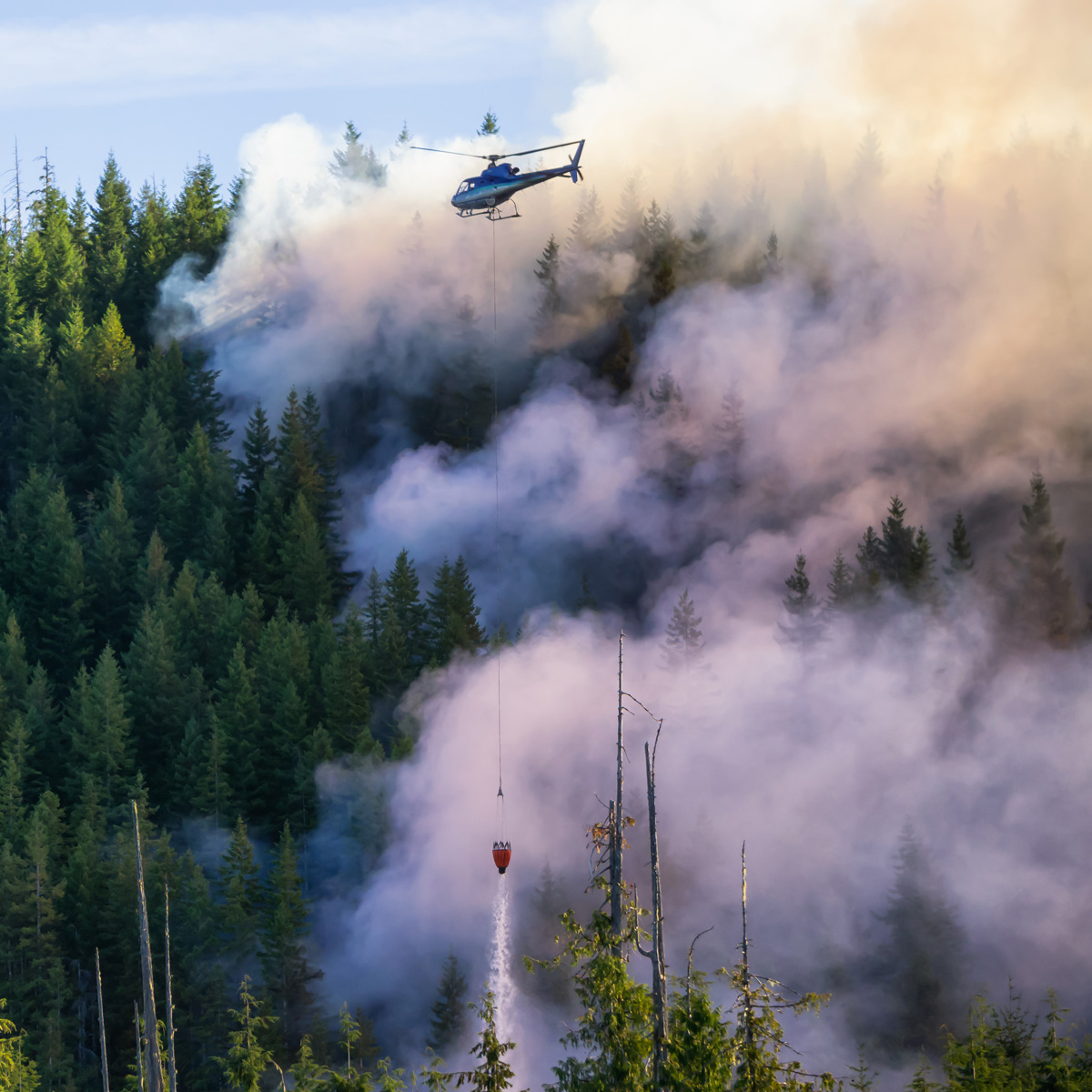 Helicopter fighting forest fires during a hot sunny summer day.