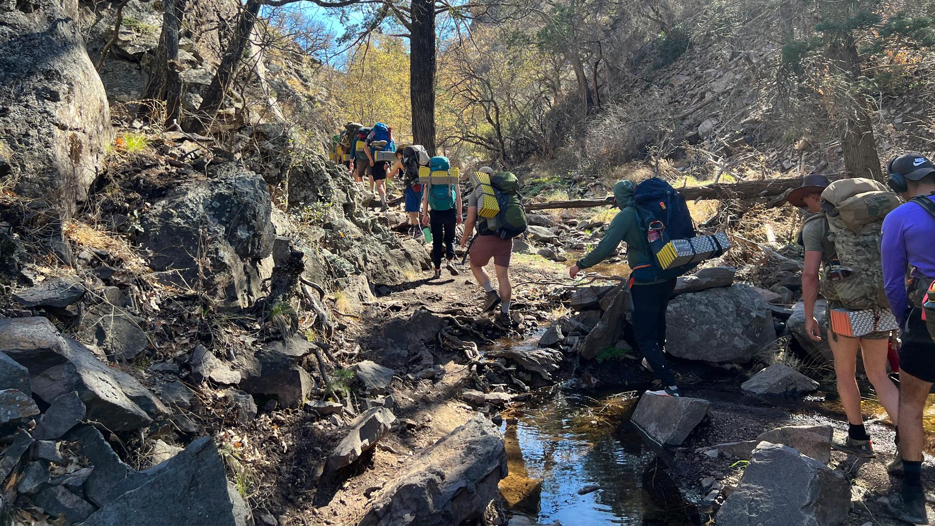 Group of students hiking