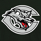 Conifer High School Logo