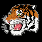 Lakewood High School Logo