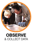 what is observation in data collection