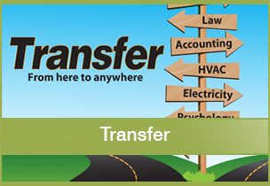 transfer graphic