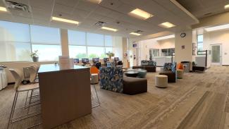 Study area