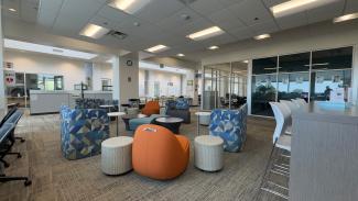 Study area