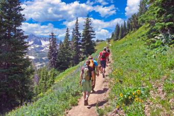 Group of hikers heading up the Arapaho Pass Trail in Boulder County, Colorado's Indian Peaks Wilderness