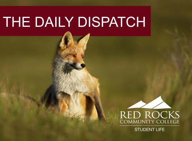The Daily Dispatch Headline over a photo of a fox and the RRCC Student Life logo