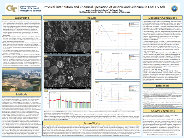 Screenshot of Physical Distribution and Chemical Speciation of Arsenic and Selenium in Coal Fly Ash PDF that is available for viewing and reading 